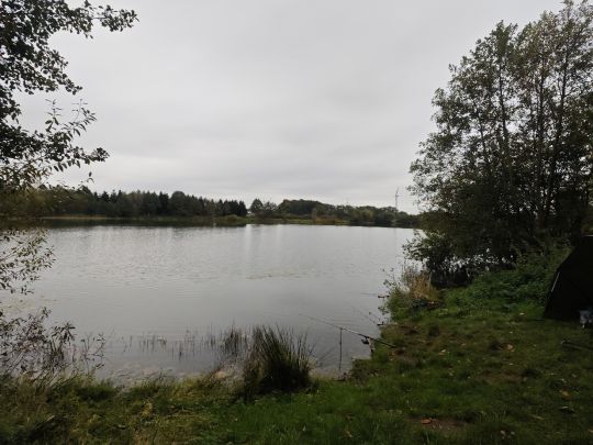 Kiekutsee