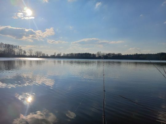 Staudhamer See (Edling)-3