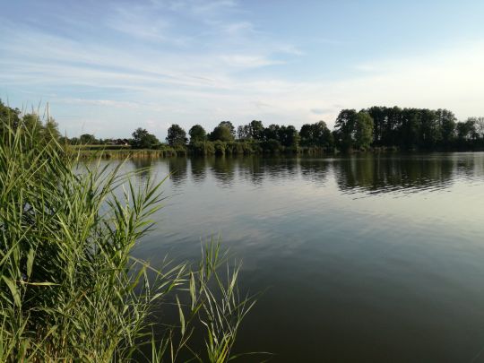 Staudhamer See (Edling) angeln