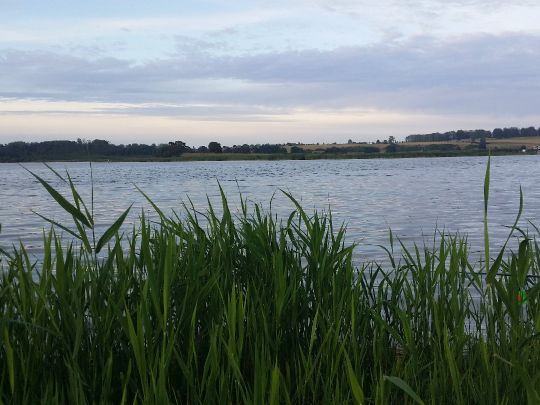 Peenestrom (Achterwasser)-3