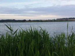 Peenestrom (Achterwasser)-3