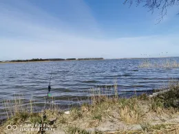 Peenestrom (Achterwasser)-2