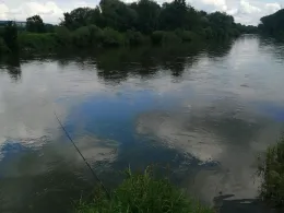 Donau (Altisheim-Leitheim)-2