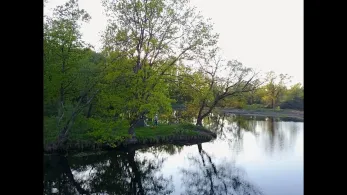 Alsenwasser (Eilenburg)-4