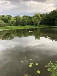 Alsenwasser (Eilenburg)-2