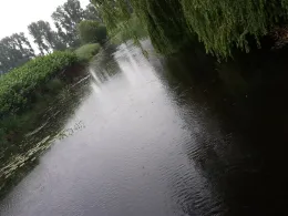 Rhinkanal (Fehrbellin)