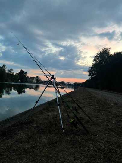Canal du Rhône au Rhin (Mulhouse)-1
