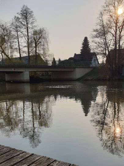 Spree (Leibsch)-3