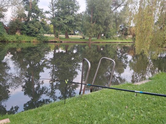 Spree (Leibsch)-1
