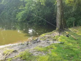 Nienhauser Teich (Gelsenkirchen)