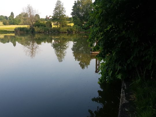 Ayweiher (Stafflangen)-2