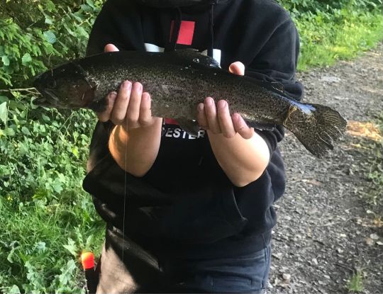 Fischers Park (Wermelskirchen-Dhünn)-2