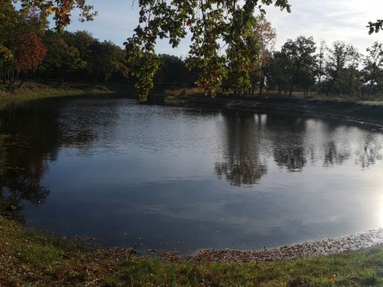 Forstbrack (Dömitz)-1