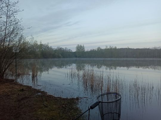 See Varenrode-5