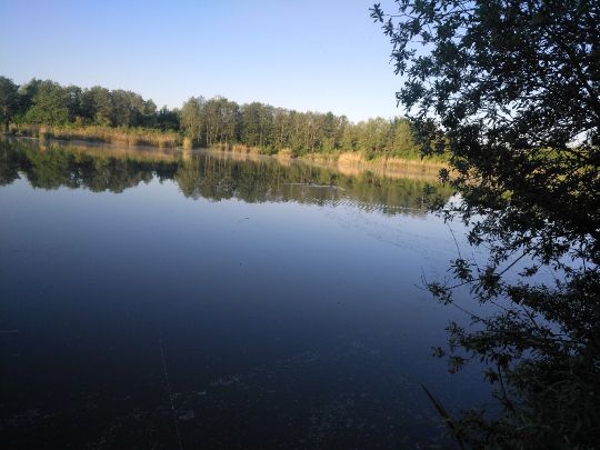 Baggersee Unterelchingen (FV Nersingen)-3