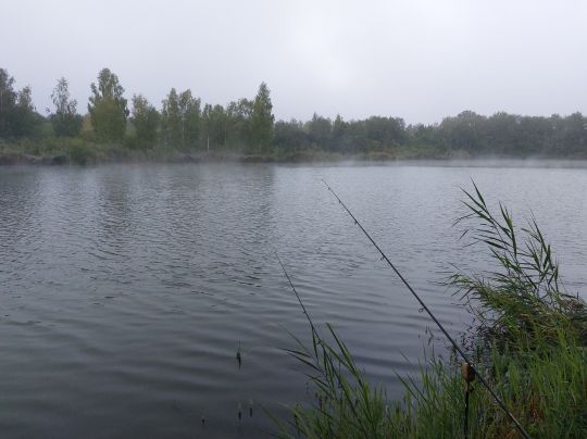 Baggersee Unterelchingen (FV Nersingen)