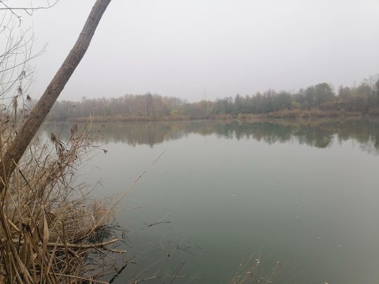 Baggersee Unterelchingen (FV Nersingen)-1