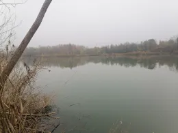 Baggersee Unterelchingen (FV Nersingen)-1