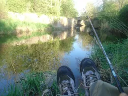 Wipper (Bleicherode)