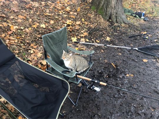 Brettmühlenteich (Bretnig-Hauswalde)-2