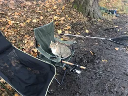 Brettmühlenteich (Bretnig-Hauswalde)-2