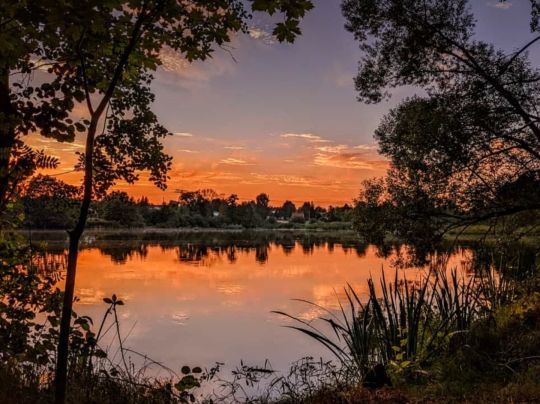 Brettmühlenteich (Bretnig-Hauswalde)-3