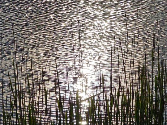 Großer Havelländischer Hauptkanal (Pessin)-2