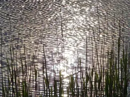 Großer Havelländischer Hauptkanal (Pessin)-2