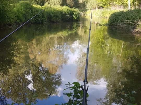 Münstersche Aa (Münster)-1