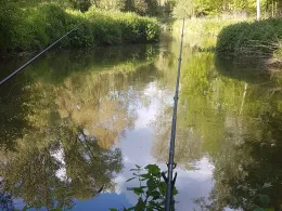 Münstersche Aa (Münster)-1