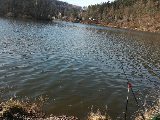 Angeln in Harth-Pöllnitz
