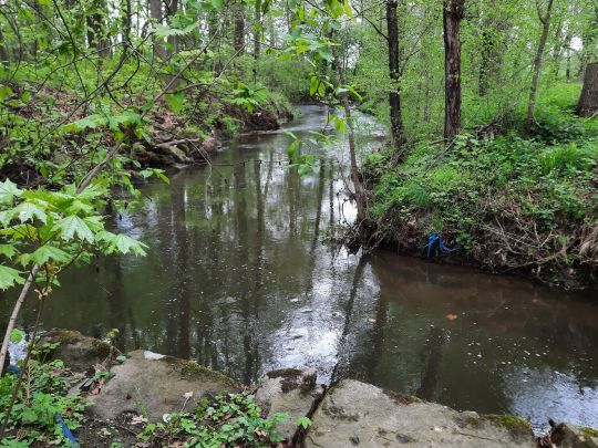 Spree (Neustadt/Spree)-2