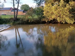 Spree (Neustadt/Spree)