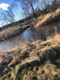 Zarow (Meiersberg)-3