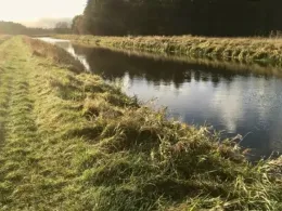 Zarow (Meiersberg)-2