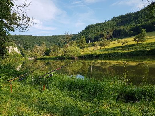 Donau (Neumühle)-4