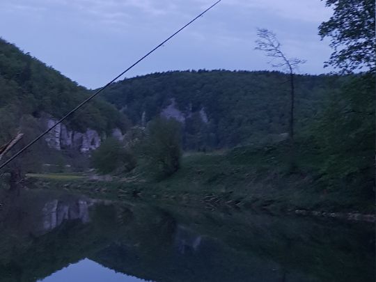 Donau (Neumühle)-3