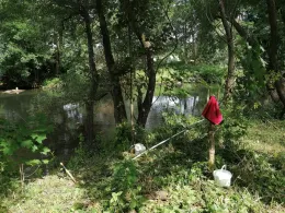 Enz (Niefern-Öschelbronn)