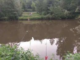 Enz (Niefern-Öschelbronn)-1