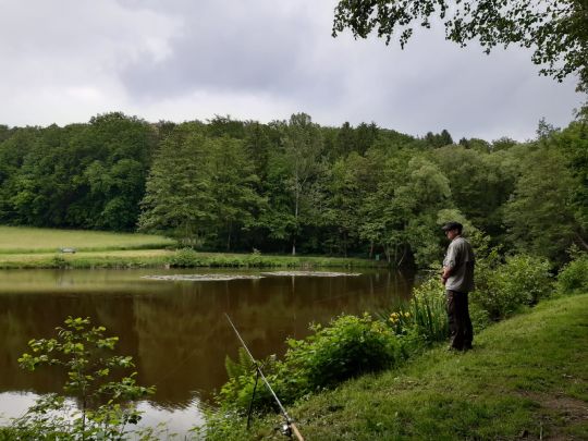Hinterwaldteich (Brensbach)-2
