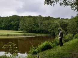 Hinterwaldteich (Brensbach)-2