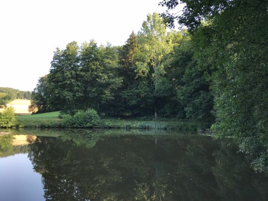 Hinterwaldteich (Brensbach)-3