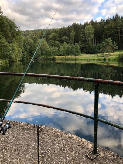 Haselweiher (Bad Orb)-1