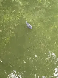 Haselweiher (Bad Orb)-3