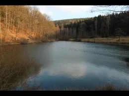 Haselweiher (Bad Orb)-2
