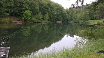 Haselweiher (Bad Orb)-4