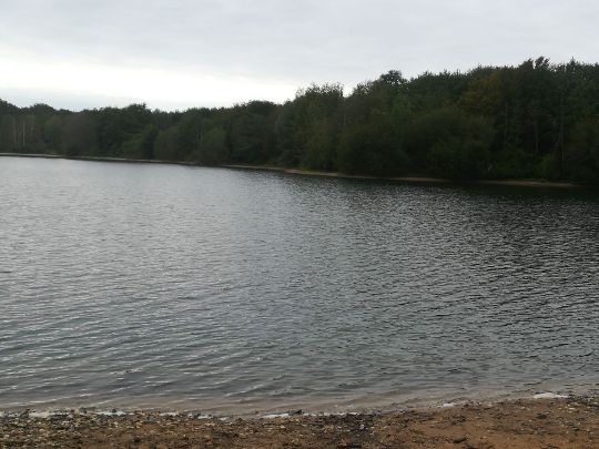 Karauschensee (Hünxe)