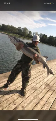 Ziegeleisee Mindenerwald-1