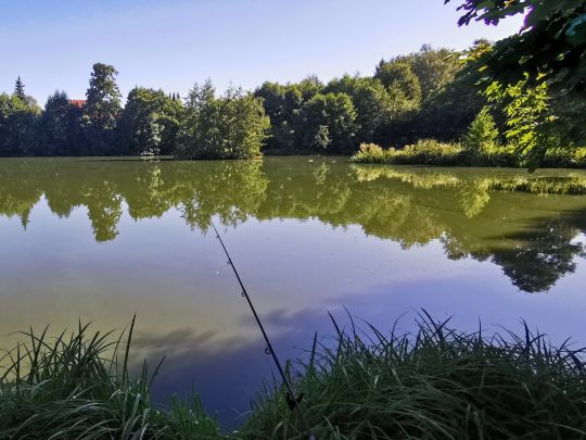 Blattbinderteich (Neugersdorf)-1