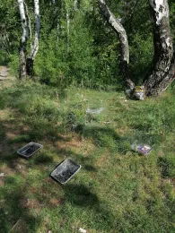 Lehmkute am Grünen Weg (Luckenwalde)-4